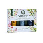 Wellness Aromatherapie Ätherisches Öl Set